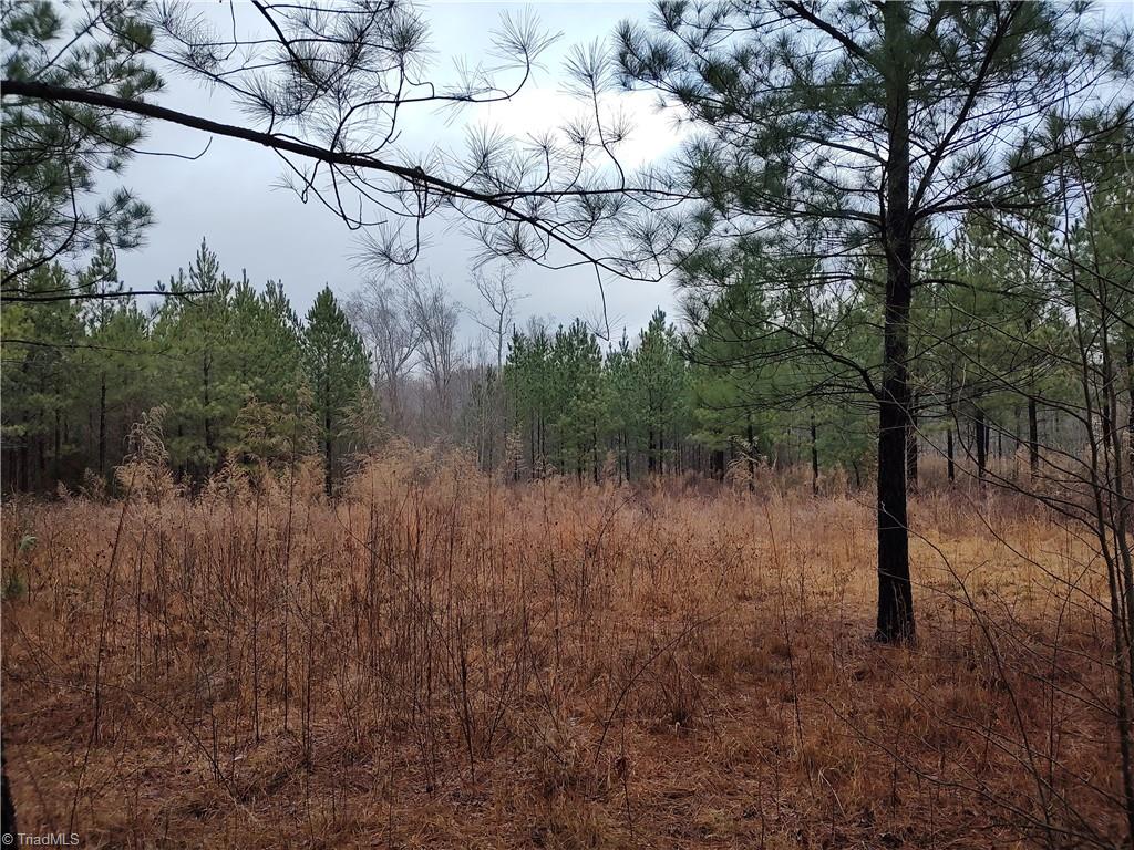 0 Hw Phillips Road Lexington, NC 27295 - Photo 2 of 6 Gallery Image 2