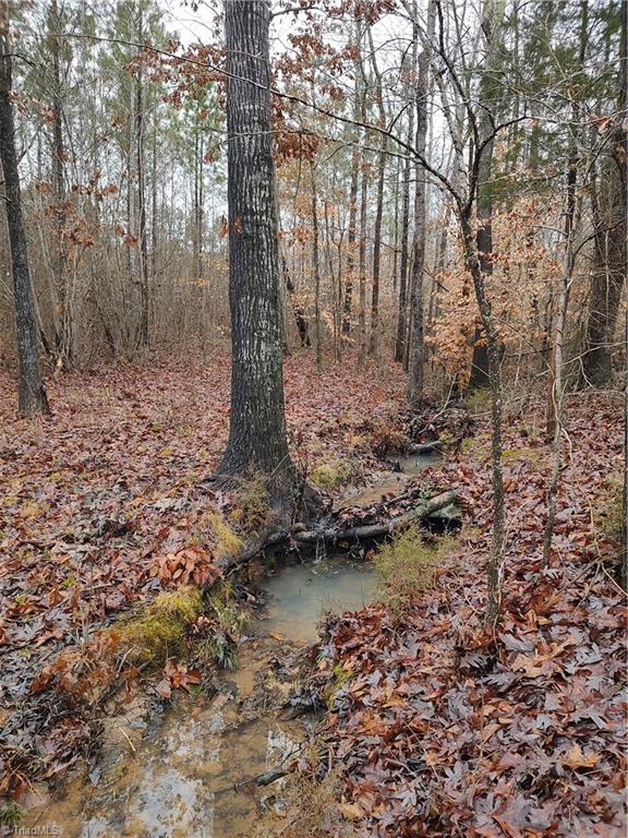 0 Hw Phillips Road Lexington, NC 27295 - Photo 3 of 6 Gallery Image 3