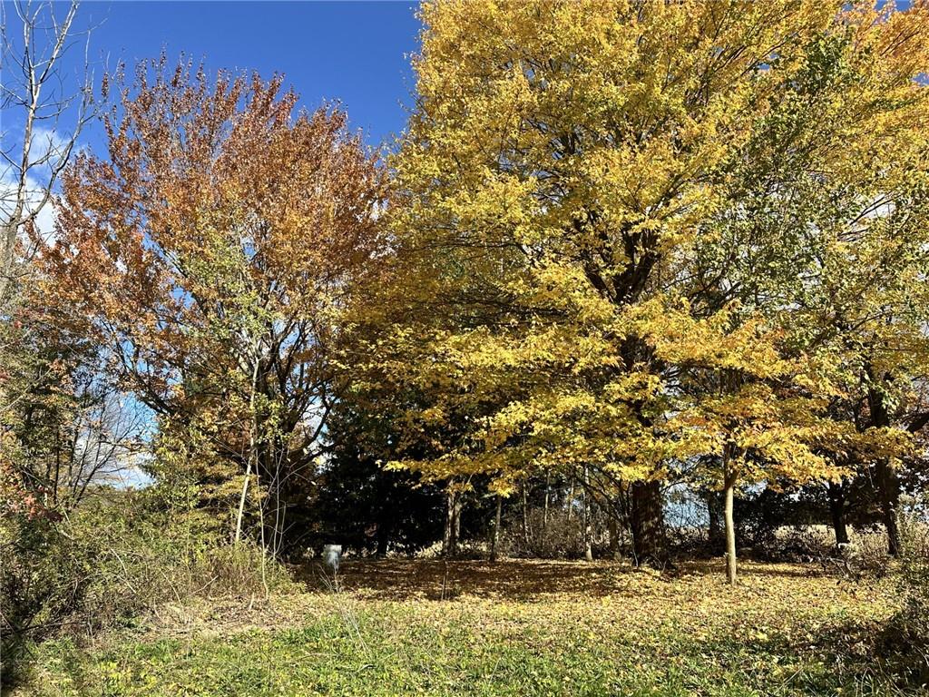 3481 Old State Road New Castle, PA 16101 - Photo 1 of 10 a view of house with large trees