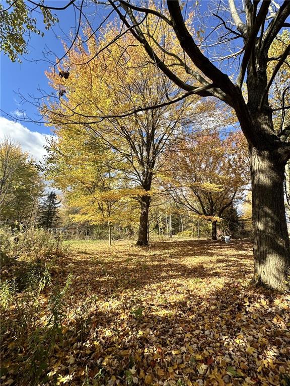 3481 Old State Road New Castle, PA 16101 - Photo 4 of 10 a view of yard with large trees