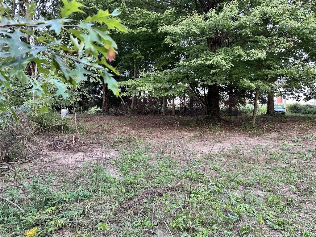 3481 Old State Road New Castle, PA 16101 - Photo 7 of 10 a view of a tree in the middle of a yard