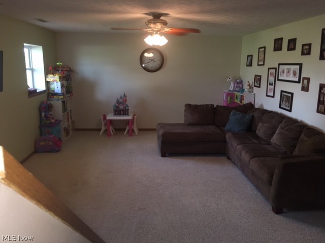 10924 Parmenter Road Burbank, OH 44214 - Photo 18 of 34 Gallery Image 18