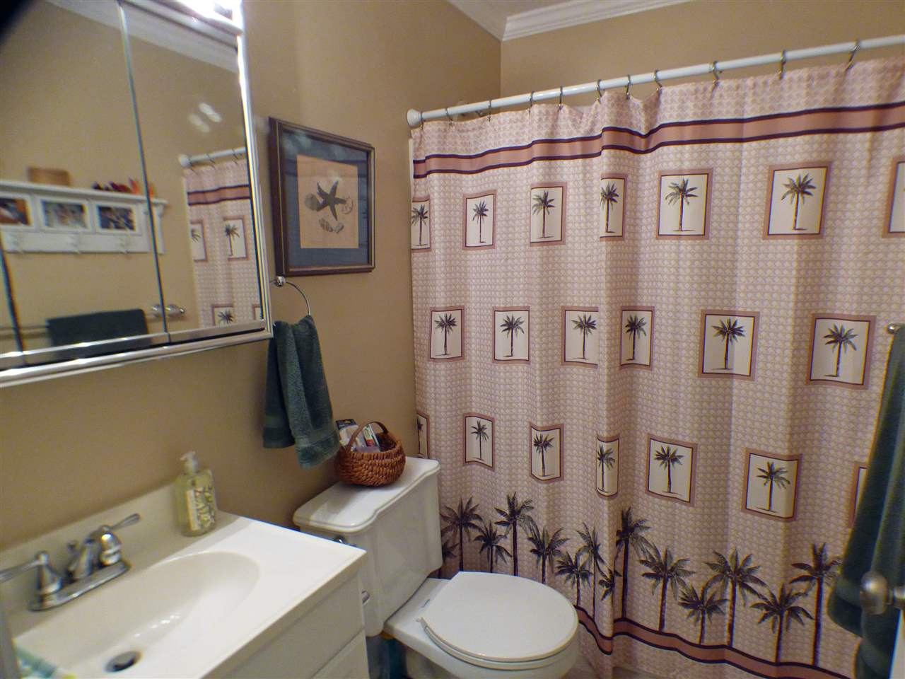 5923 Farm Gate Road Raleigh, NC 27606 - Photo 15 of 18 Hall Bathroom