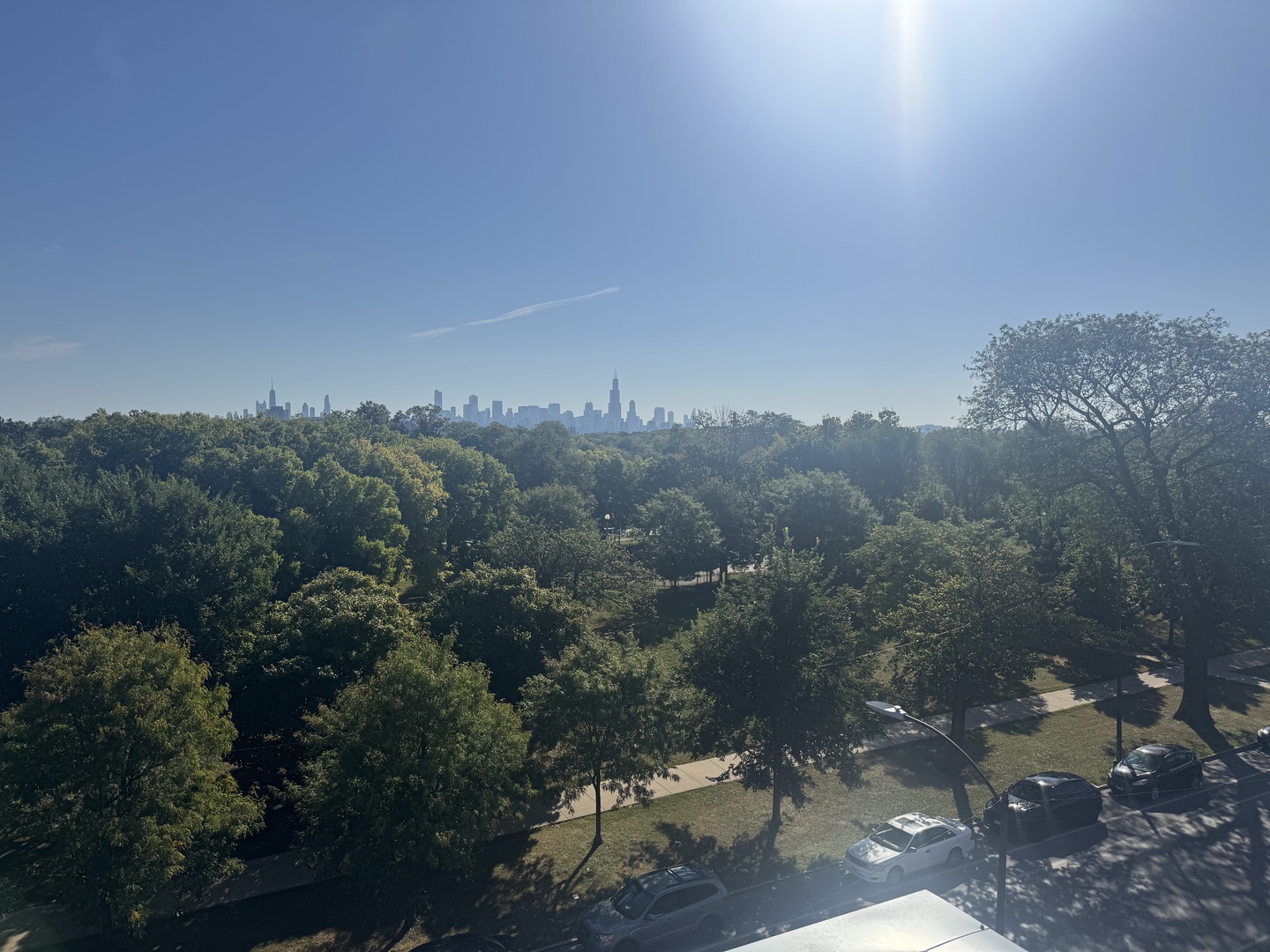 1244 North Kedzie Avenue, Unit 4 Chicago, IL 60651 - Photo 22 of 26 a view of a city with lush green forest