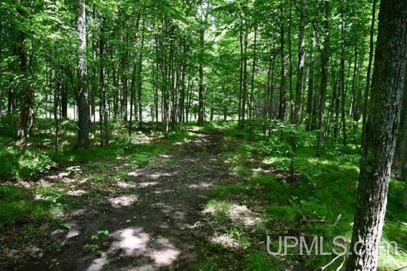 Lot#25 Fordville Road Foster City, MI 49834 - Photo 20 of 27