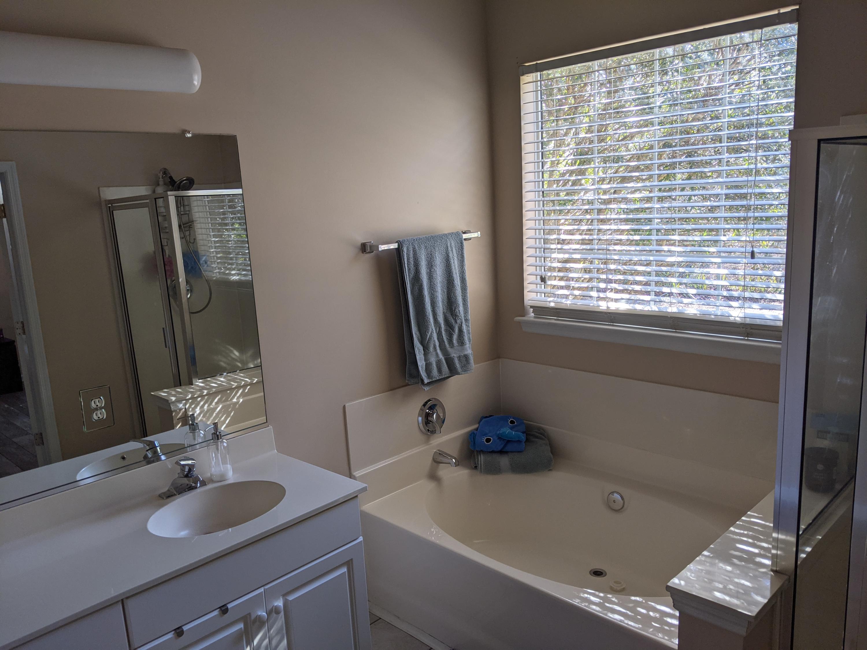 7117 Windmill Creek Road Charleston, SC 29414 - Photo 23 of 29 PXL_20210110_172017615.MP