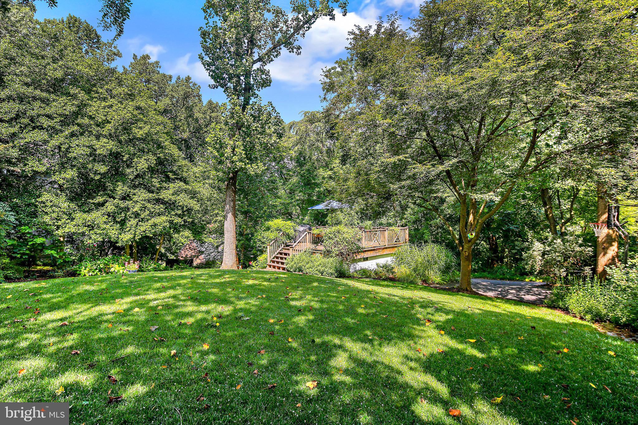 5514 Kemper Road Baltimore, MD 21210 - Photo 41 of 45 Beautiful Backyard Views