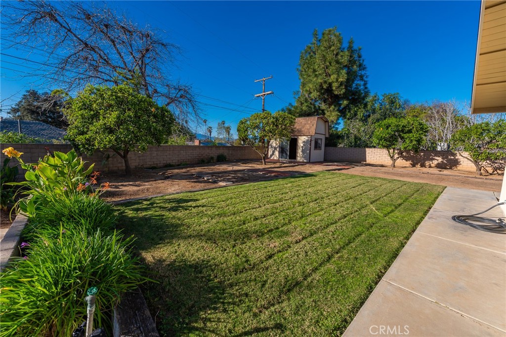 5593 Malvern Way Riverside, CA 92506 - Photo 40 of 54 a view of a backyard with plants and large trees