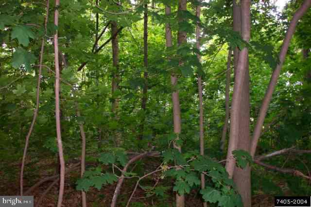 55 Ranch Trail, Unit 55 Carroll Valley, PA 17320 - Photo 1 of 3 Gallery Image 1