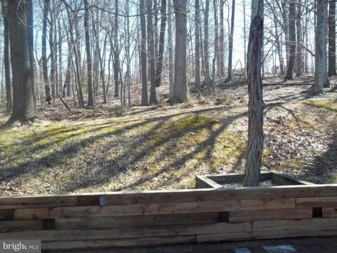 4702 Newman Road Temple Hills, MD 20748 - Photo 5 of 18 Back yard
