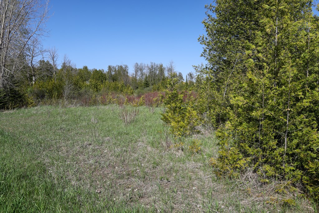 Lot 8 Golf View Road Sturgeon Bay, WI 54235 - Photo 4 of 38