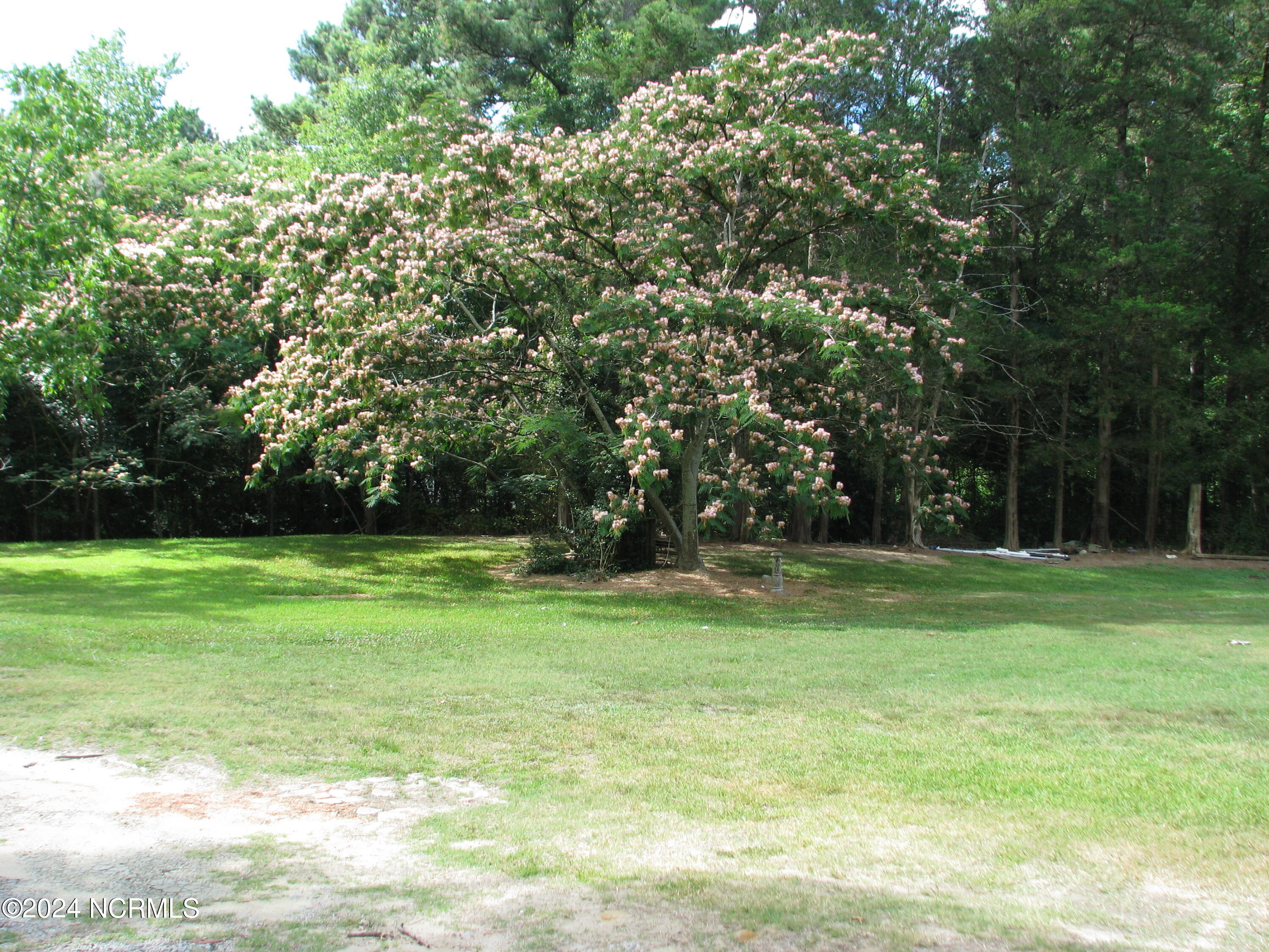 313 Golf Road Plymouth, NC 27962 - Photo 2 of 23 Side yard - beautiful flowering trees