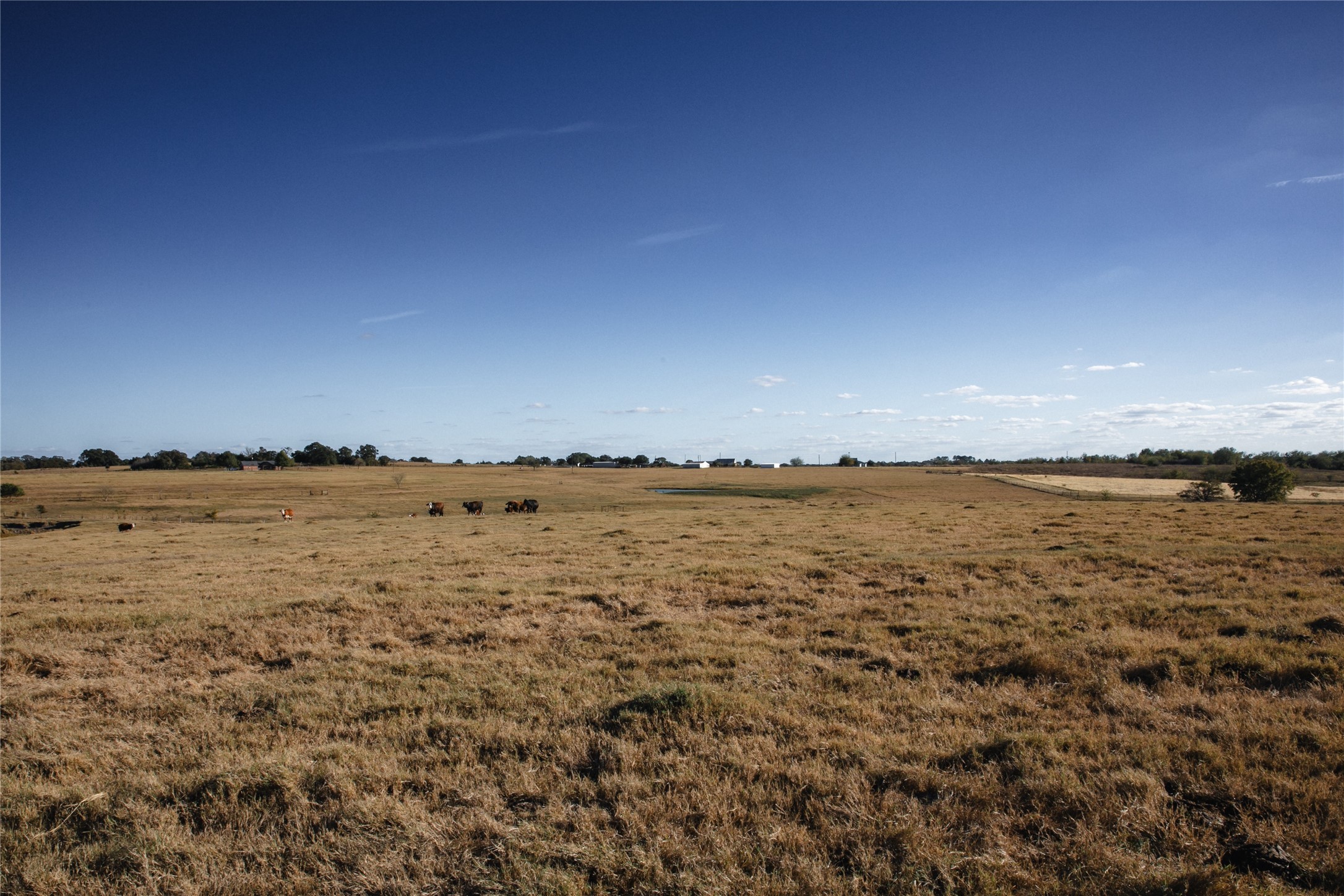 3568 Farm To Market 50 Brenham, TX 77833 - Photo 11 of 24 a view of a lake view