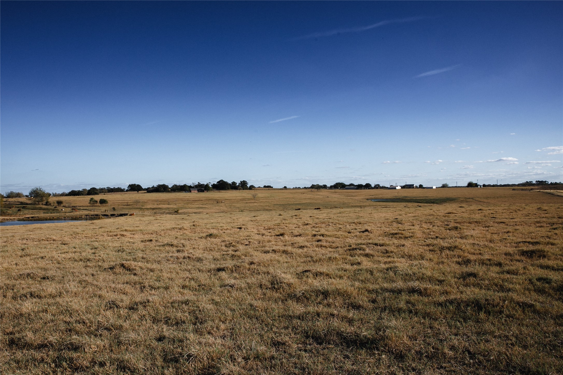 3568 Farm To Market 50 Brenham, TX 77833 - Photo 13 of 24 a view of an ocean