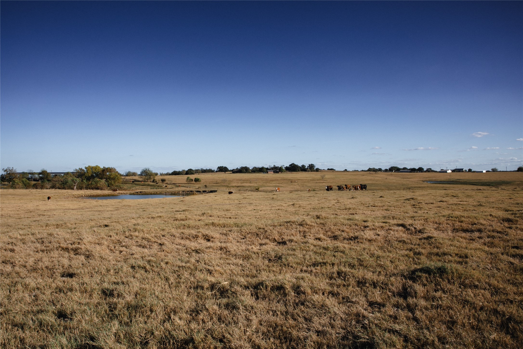 3568 Farm To Market 50 Brenham, TX 77833 - Photo 14 of 24