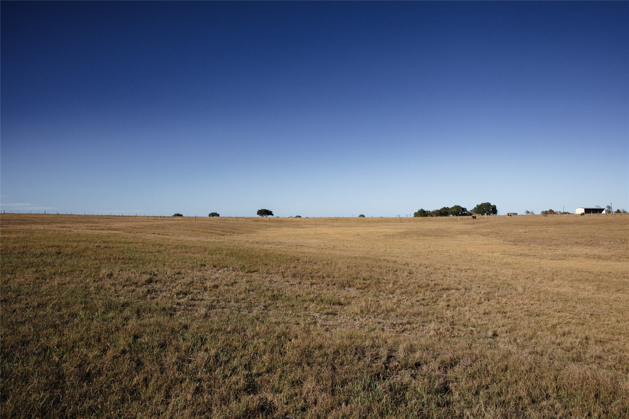 3568 Farm To Market 50 Brenham, TX 77833 - Photo 19 of 24