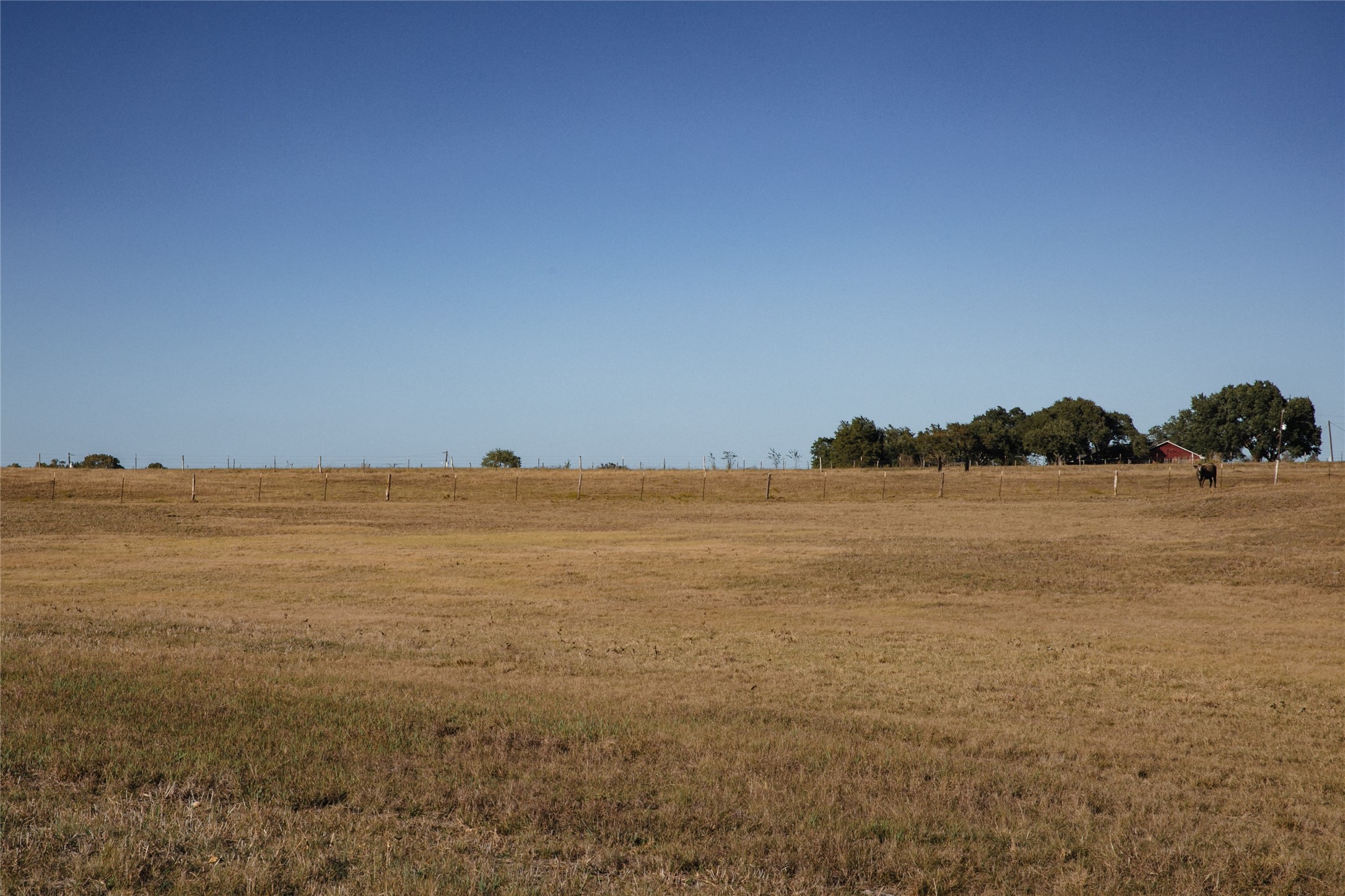3568 Farm To Market 50 Brenham, TX 77833 - Photo 21 of 24 a view of lake and mountain