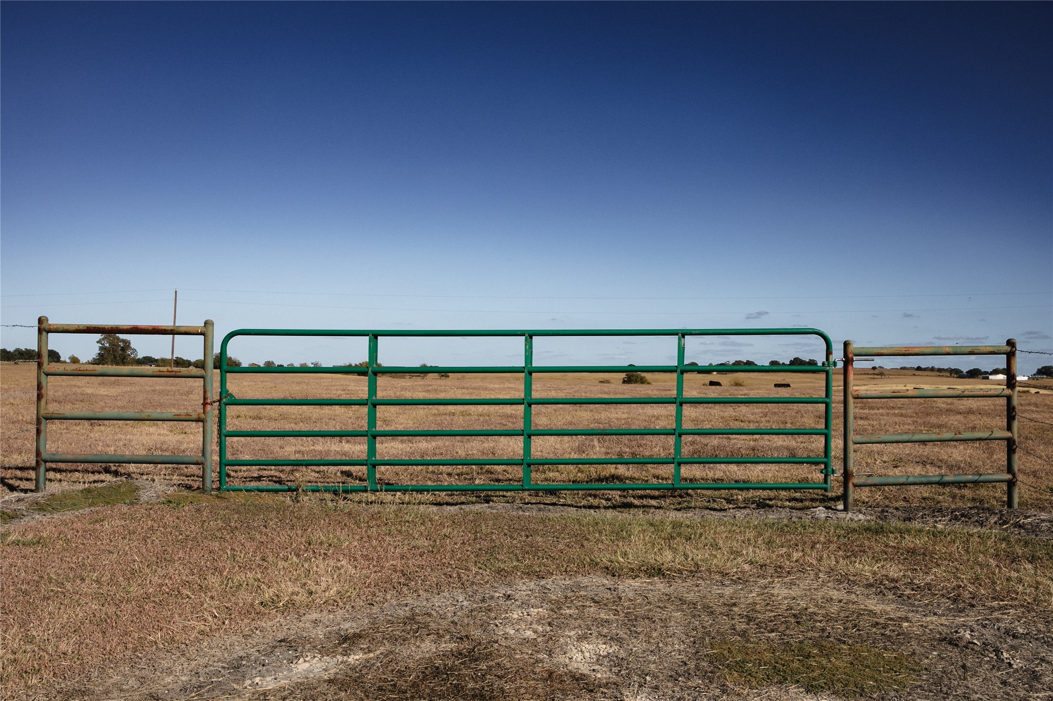 3568 Farm To Market 50 Brenham, TX 77833 - Photo 22 of 24 a view of a backyard