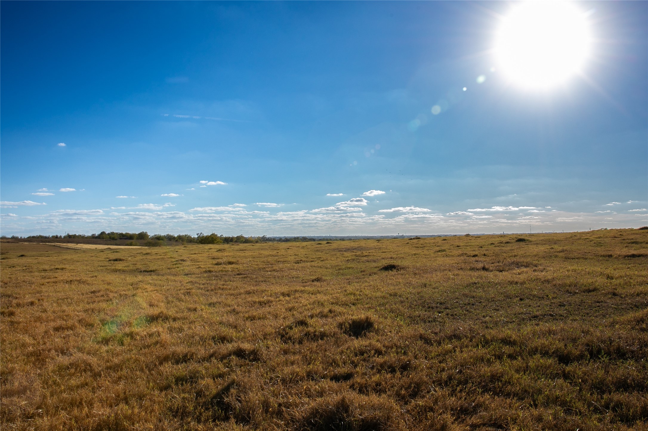 3568 Farm To Market 50 Brenham, TX 77833 - Photo 8 of 24 a view of an ocean