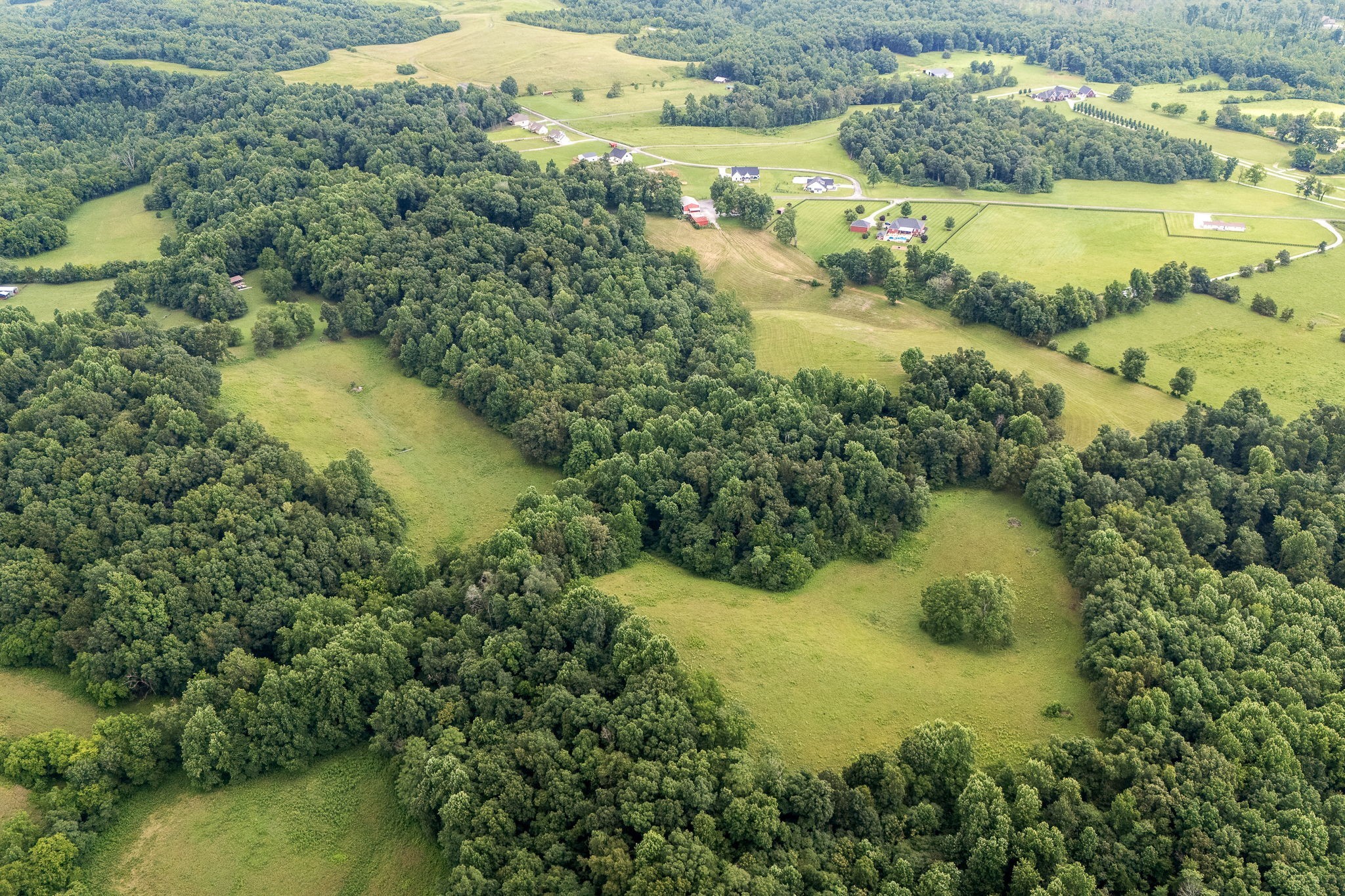540 Powell Hollow Road Tullahoma, TN 37388 - Photo 78 of 99