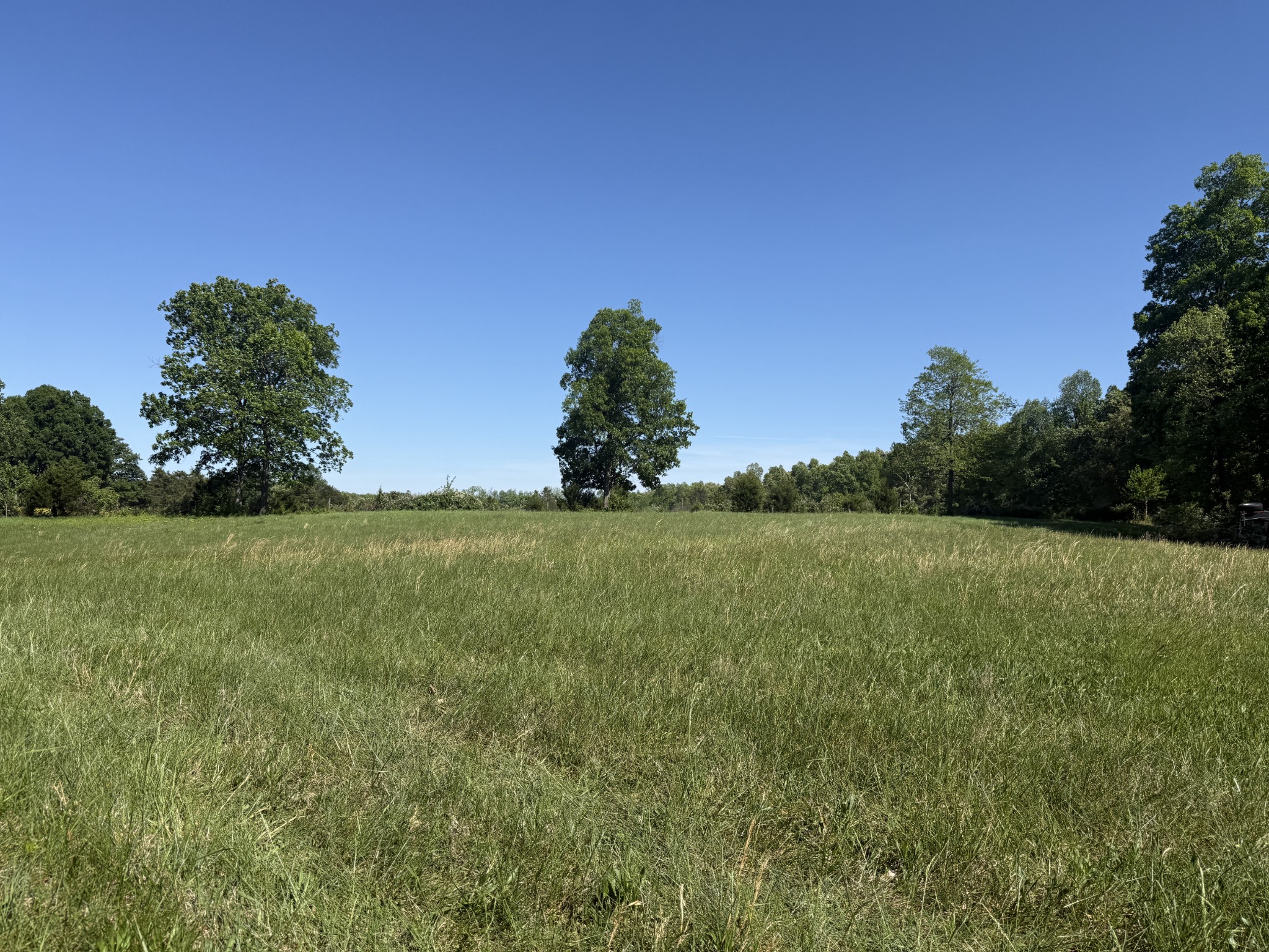 540 Powell Hollow Road Tullahoma, TN 37388 - Photo 85 of 99 a view of a green field with wooden fence