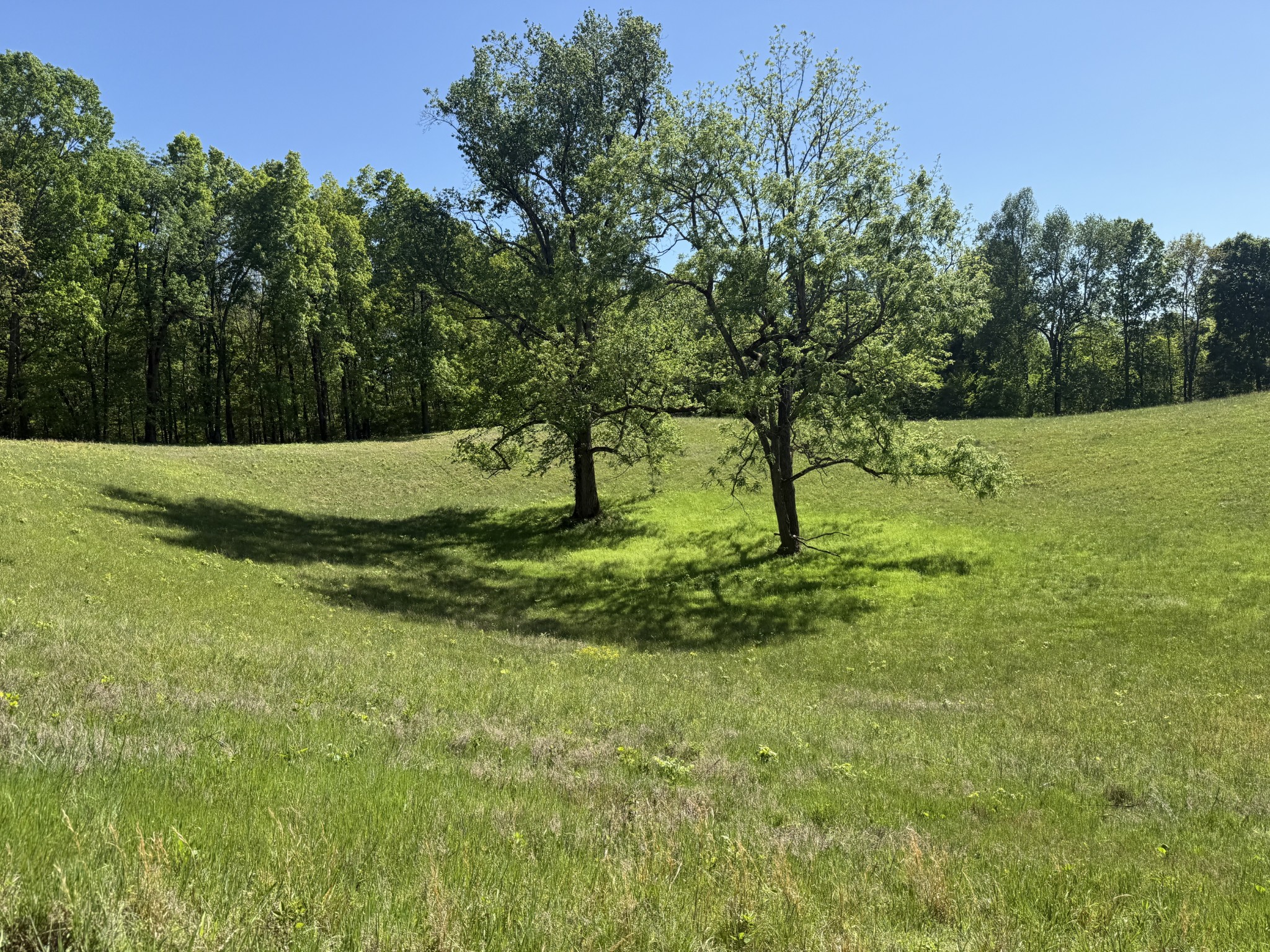 540 Powell Hollow Road Tullahoma, TN 37388 - Photo 86 of 99 a view of garden