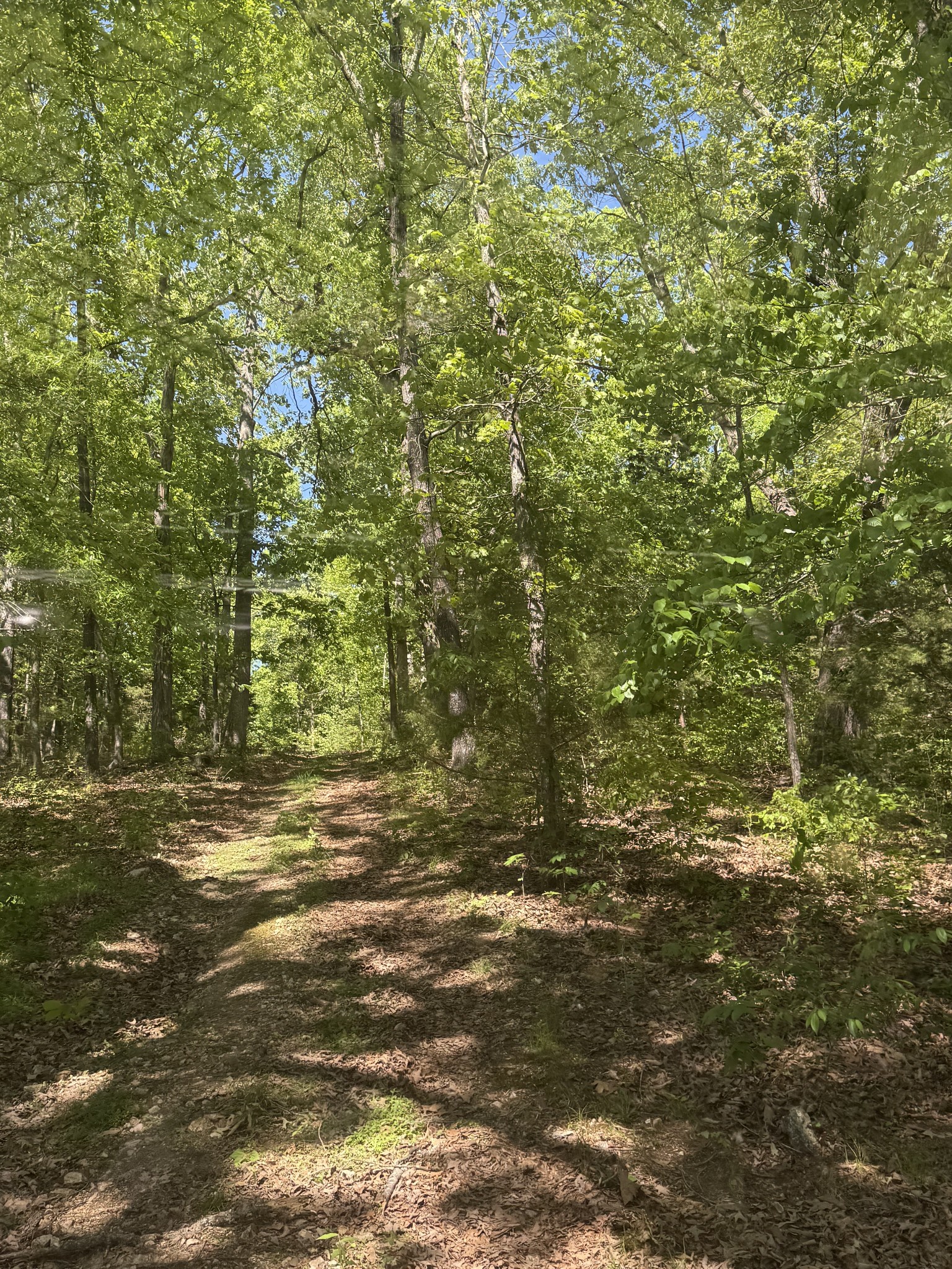 540 Powell Hollow Road Tullahoma, TN 37388 - Photo 90 of 99