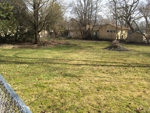 95 Eagle Point Road Fox Lake, IL 60020 - Photo 1 of 1 a view of a yard with a fountain