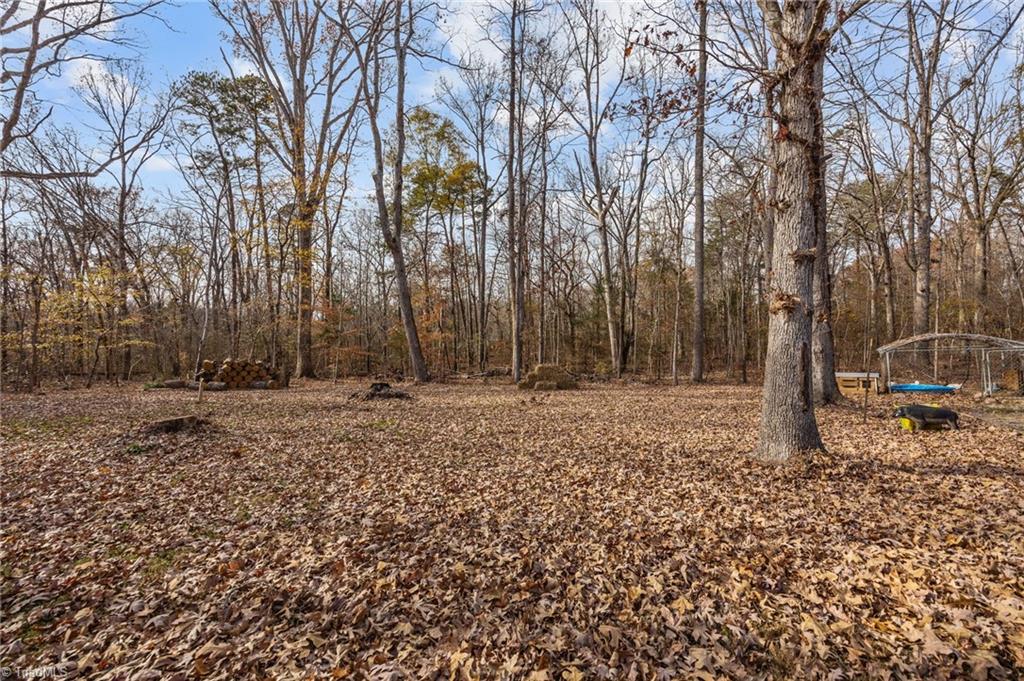 1646 Sandy Cross Road Burlington, NC 27217 - Photo 8 of 22