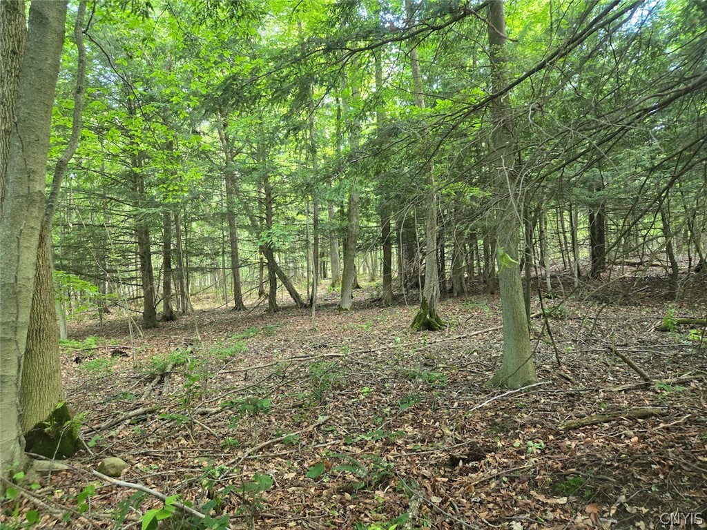 7988 Dowd Road Pike, NY 14735 - Photo 37 of 37