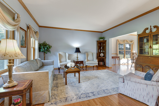 14N600 Timber Ridge Drive Elgin, IL 60124 - Photo 11 of 28 a living room with furniture fireplace and a large window