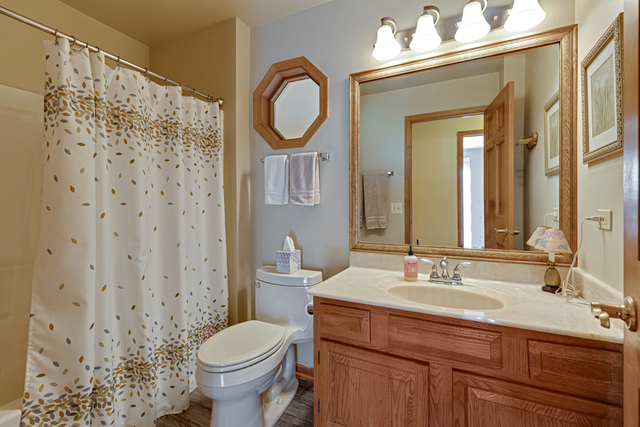 14N600 Timber Ridge Drive Elgin, IL 60124 - Photo 23 of 28 a bathroom with a sink a toilet and a mirror