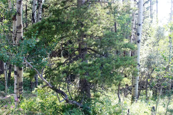 $52,000 | Lot 028 Sunflower Lane, Black Hawk, CO 80422