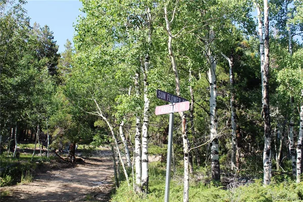 a outdoor view of a house with a tree