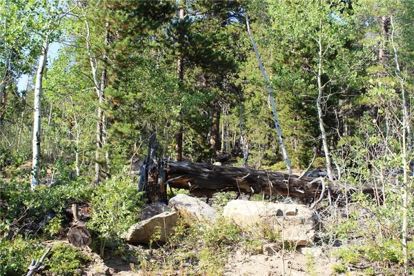 a view of outdoor space and covered with trees