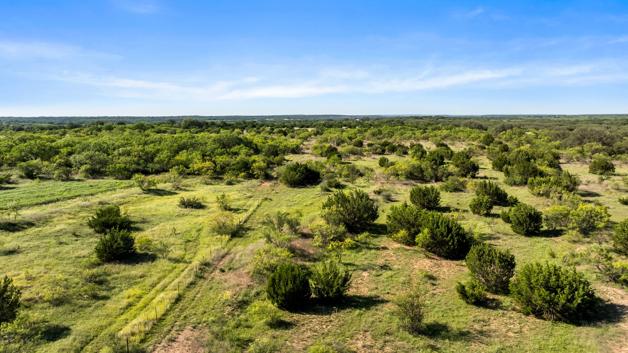 2315 St Rochelle Tx 76872 Rochelle, TX 76872 - Photo 5 of 20 Bird's eye view of a heavily wooded area