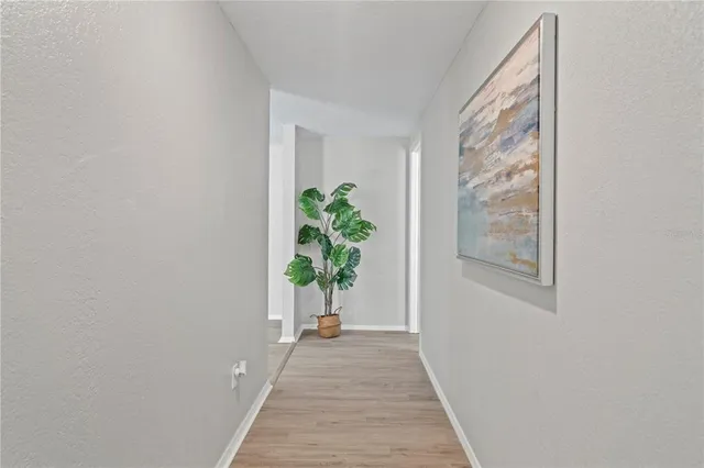 a view of a hallway with wooden floor and a potted plant