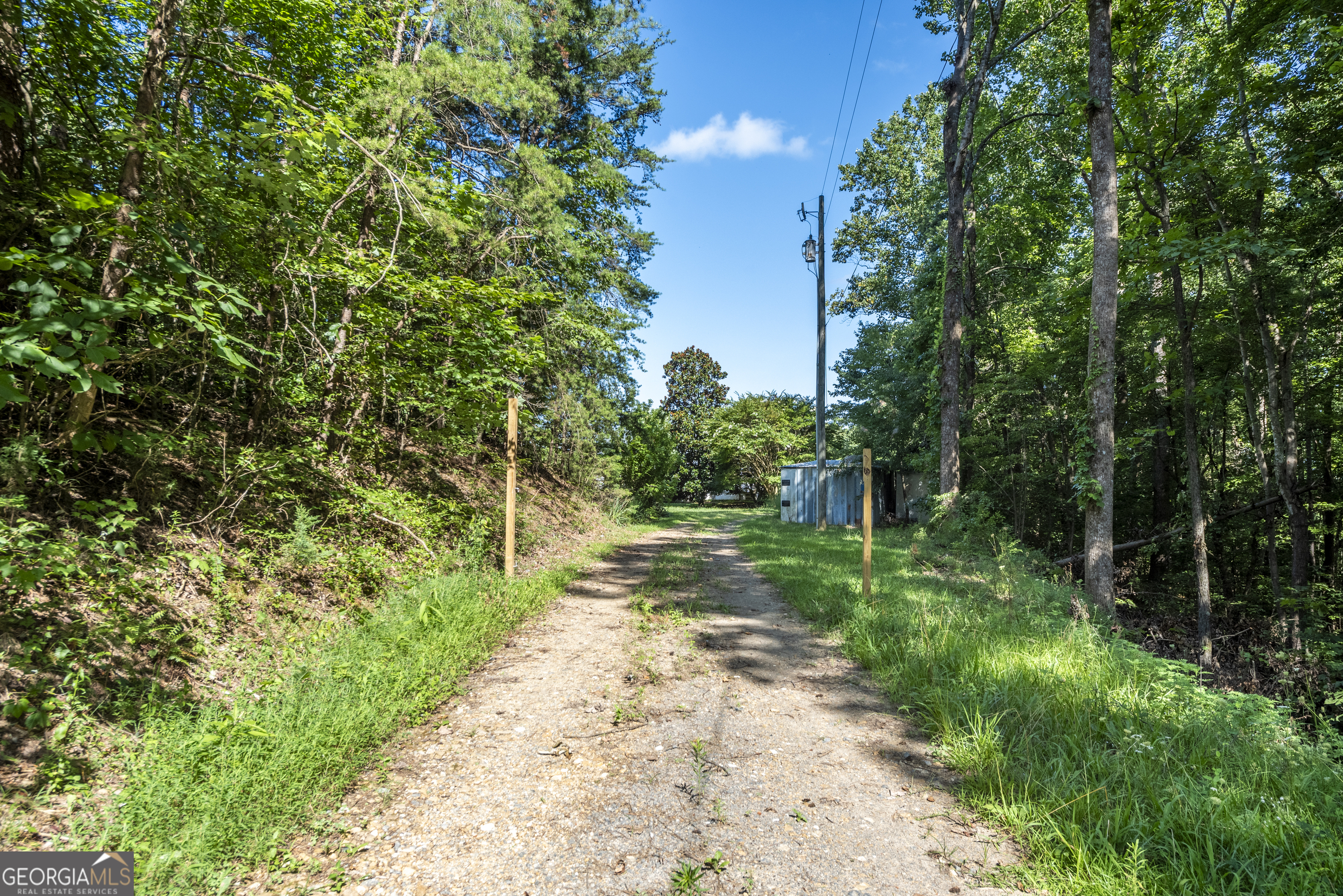 157 Edwards Road Fairmount, GA 30139 - Photo 12 of 72 a view of a yard with plants and large trees