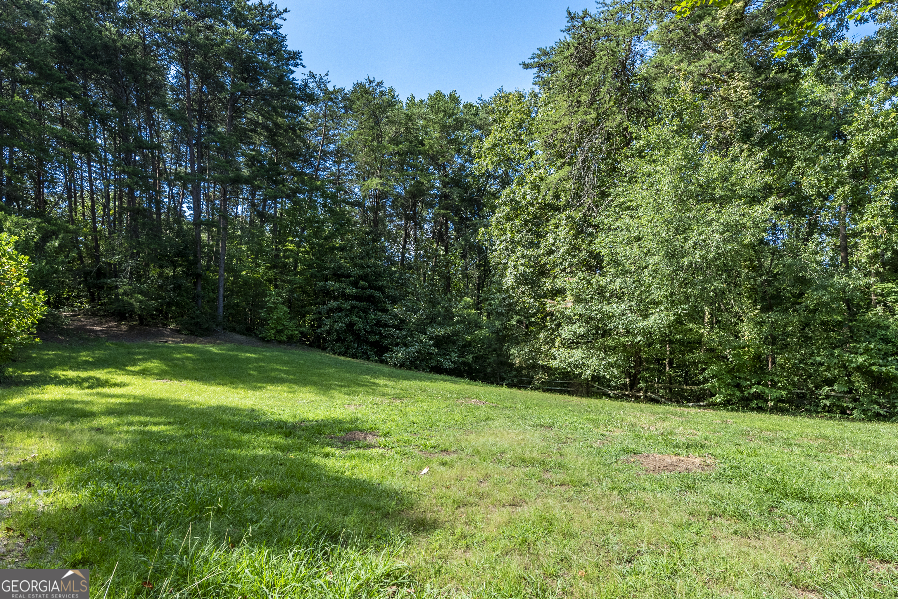 157 Edwards Road Fairmount, GA 30139 - Photo 13 of 72 a view of a grassy field with trees