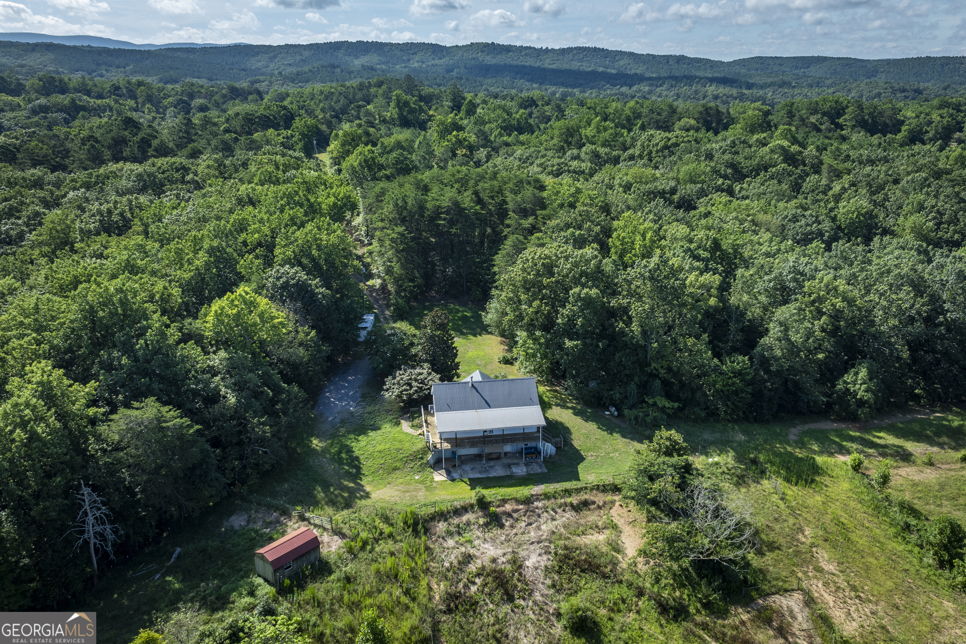 157 Edwards Road Fairmount, GA 30139 - Photo 50 of 72 a garden with plants and large trees