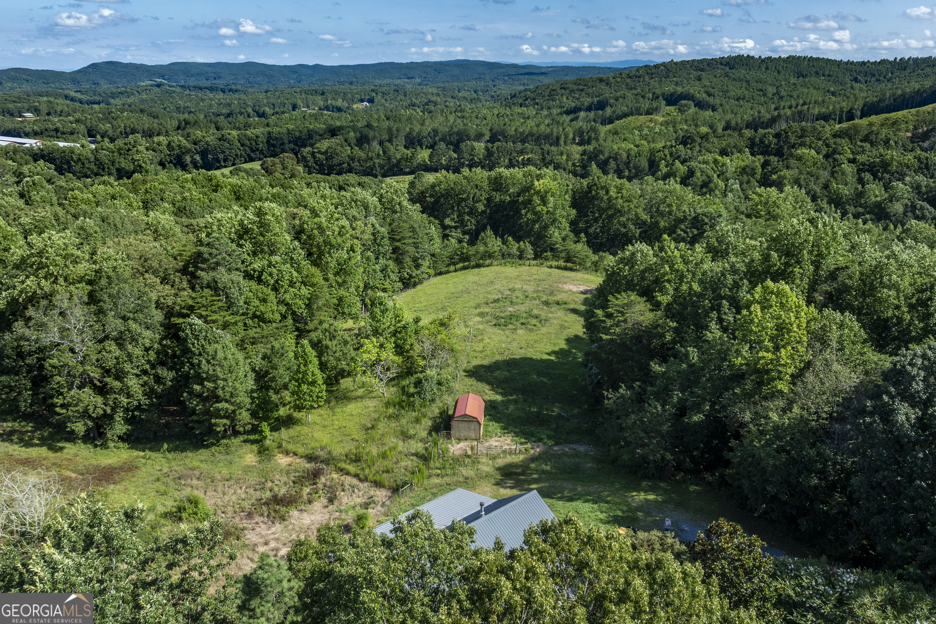 157 Edwards Road Fairmount, GA 30139 - Photo 55 of 72 a view of a lush green forest with lots of trees
