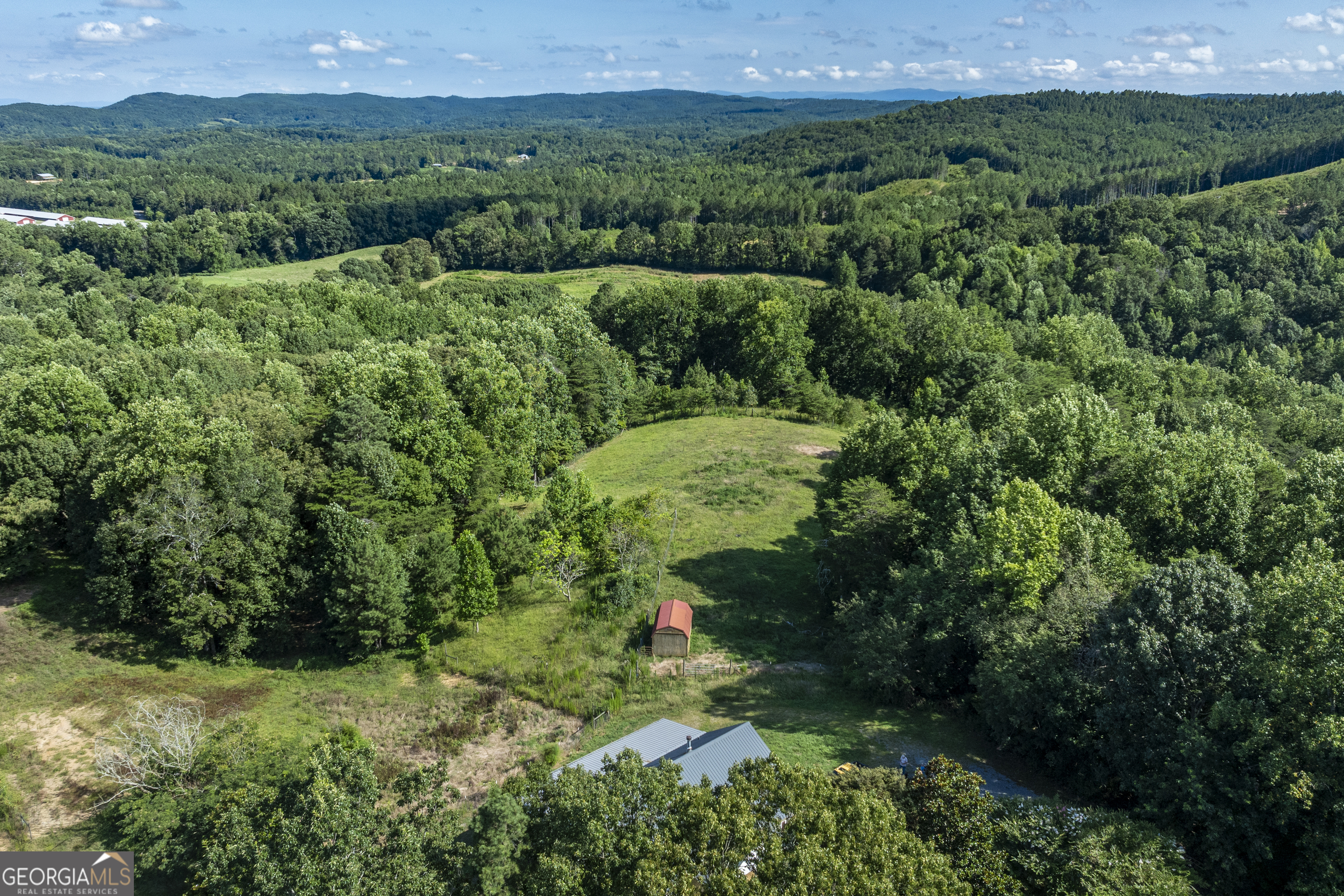 157 Edwards Road Fairmount, GA 30139 - Photo 56 of 72 a view of a lush green forest with lots of trees