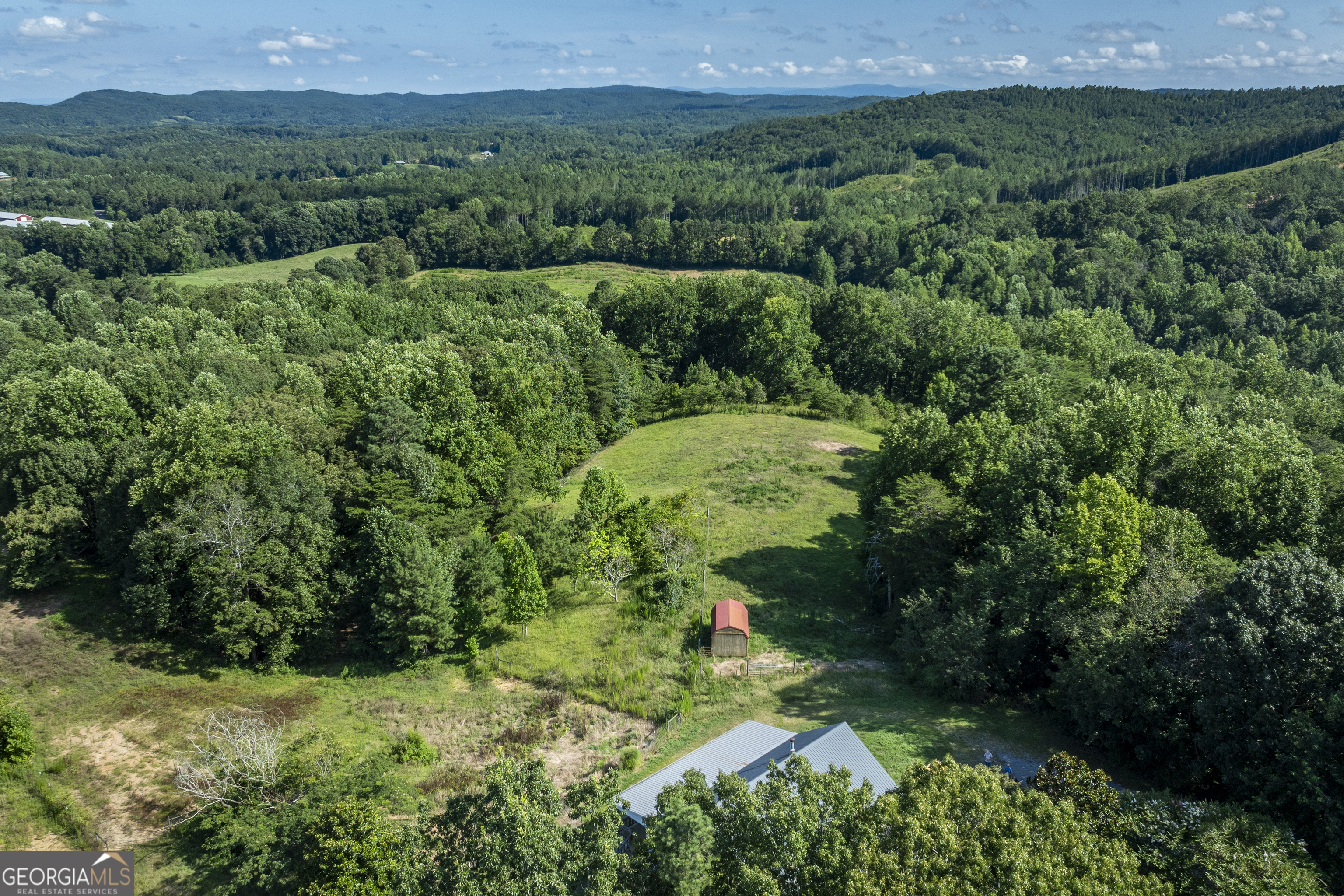 157 Edwards Road Fairmount, GA 30139 - Photo 58 of 72 a view of a garden with a building in the background