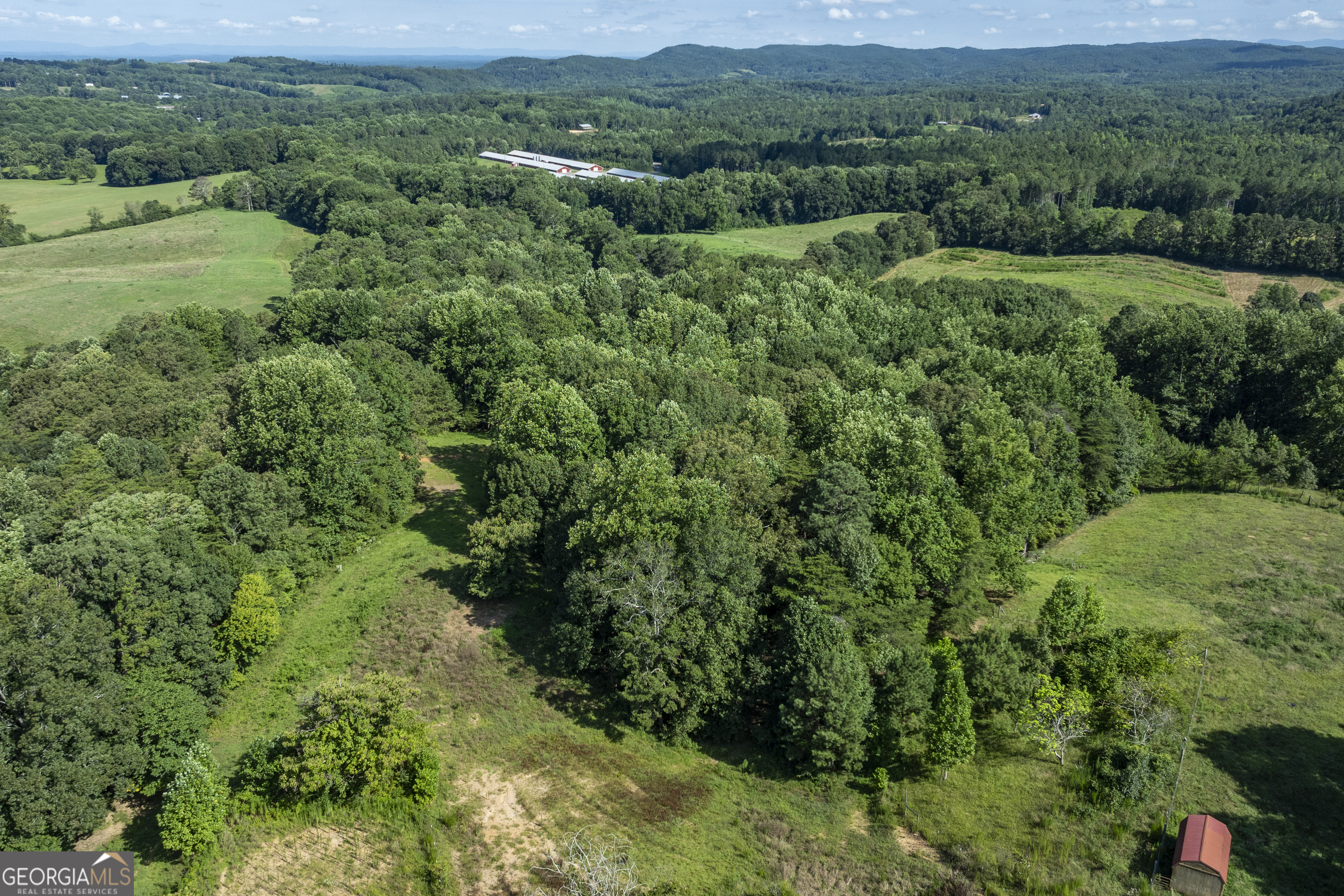 157 Edwards Road Fairmount, GA 30139 - Photo 60 of 72 a view of a lush green forest with lots of trees