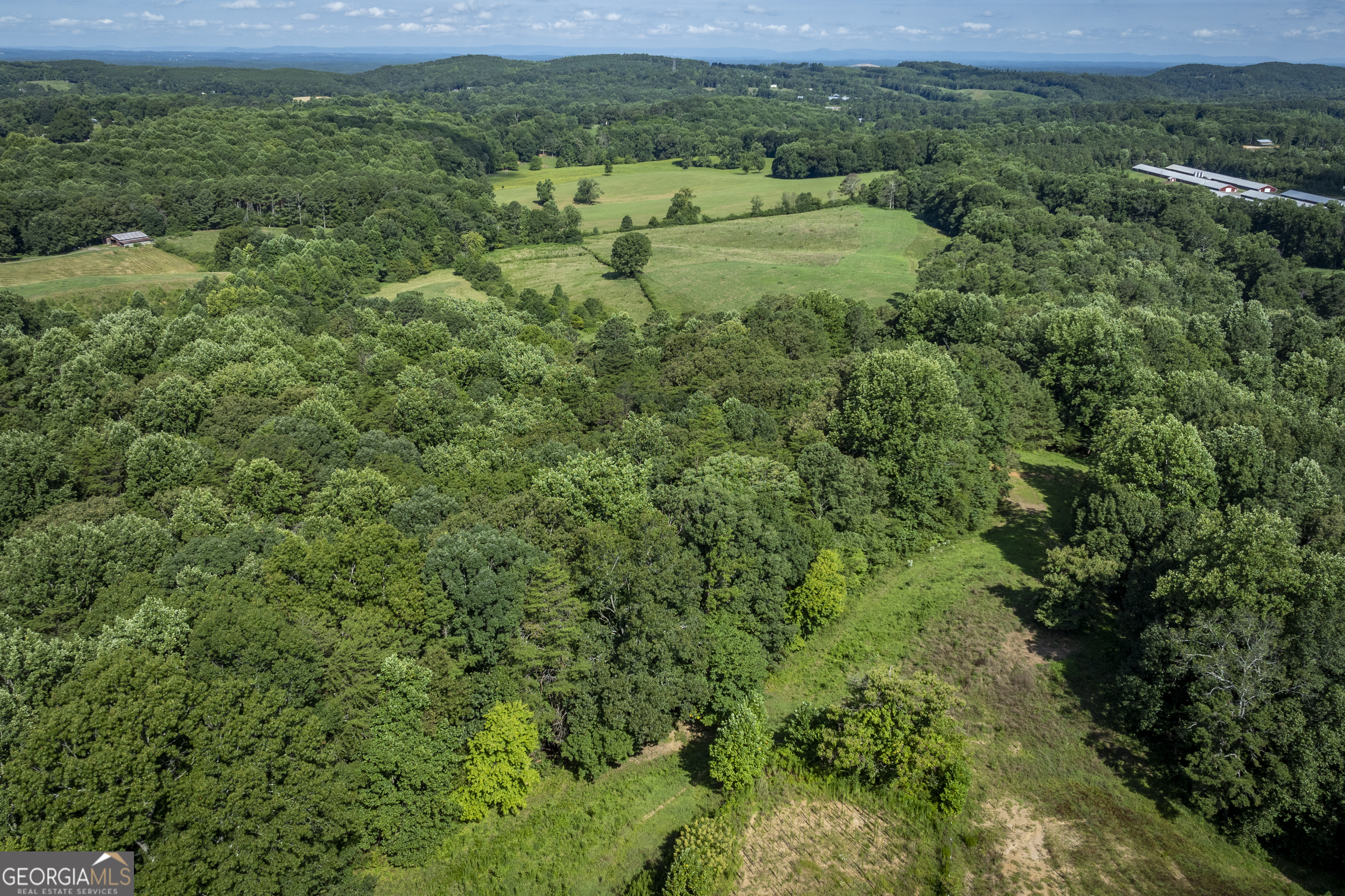 157 Edwards Road Fairmount, GA 30139 - Photo 61 of 72