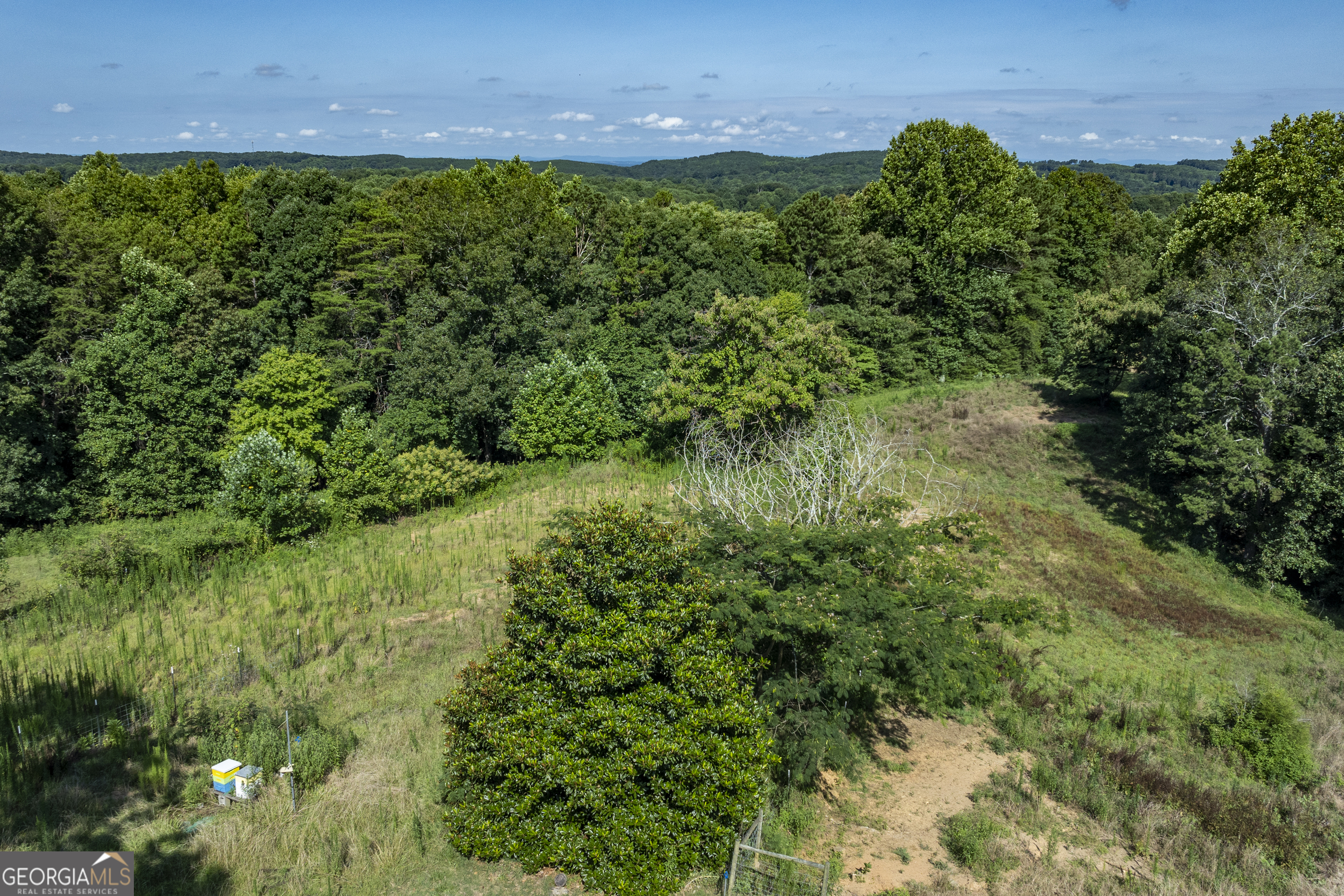 157 Edwards Road Fairmount, GA 30139 - Photo 65 of 72 a view of a yard