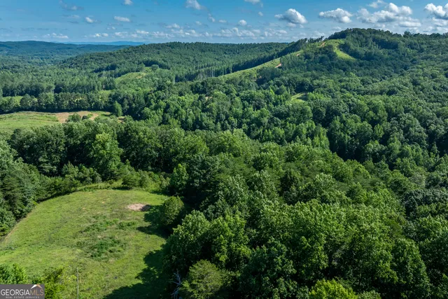 $799,900 | 157 Edwards Road, Fairmount, GA 30139