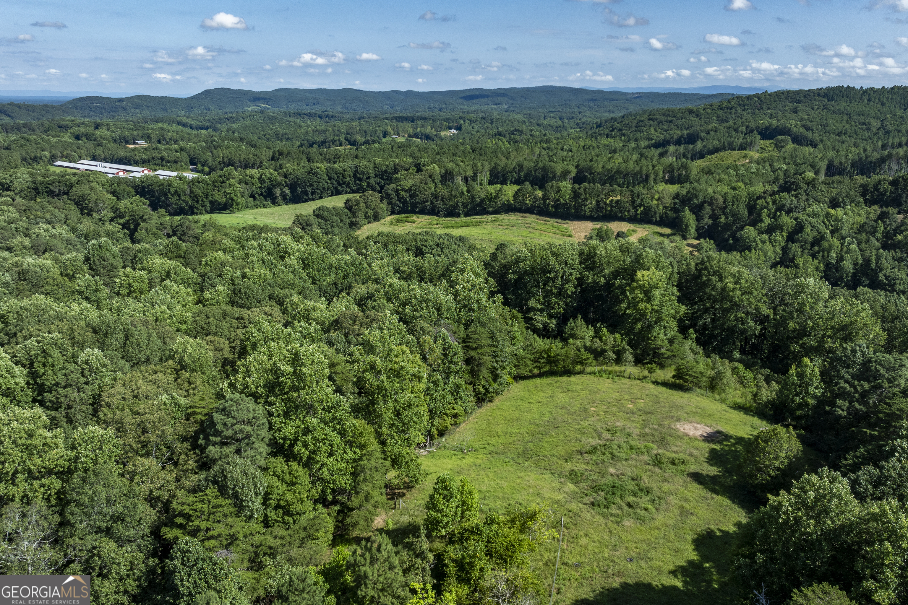 157 Edwards Road Fairmount, GA 30139 - Photo 70 of 72 a view of a lush green outdoor space with a lake view