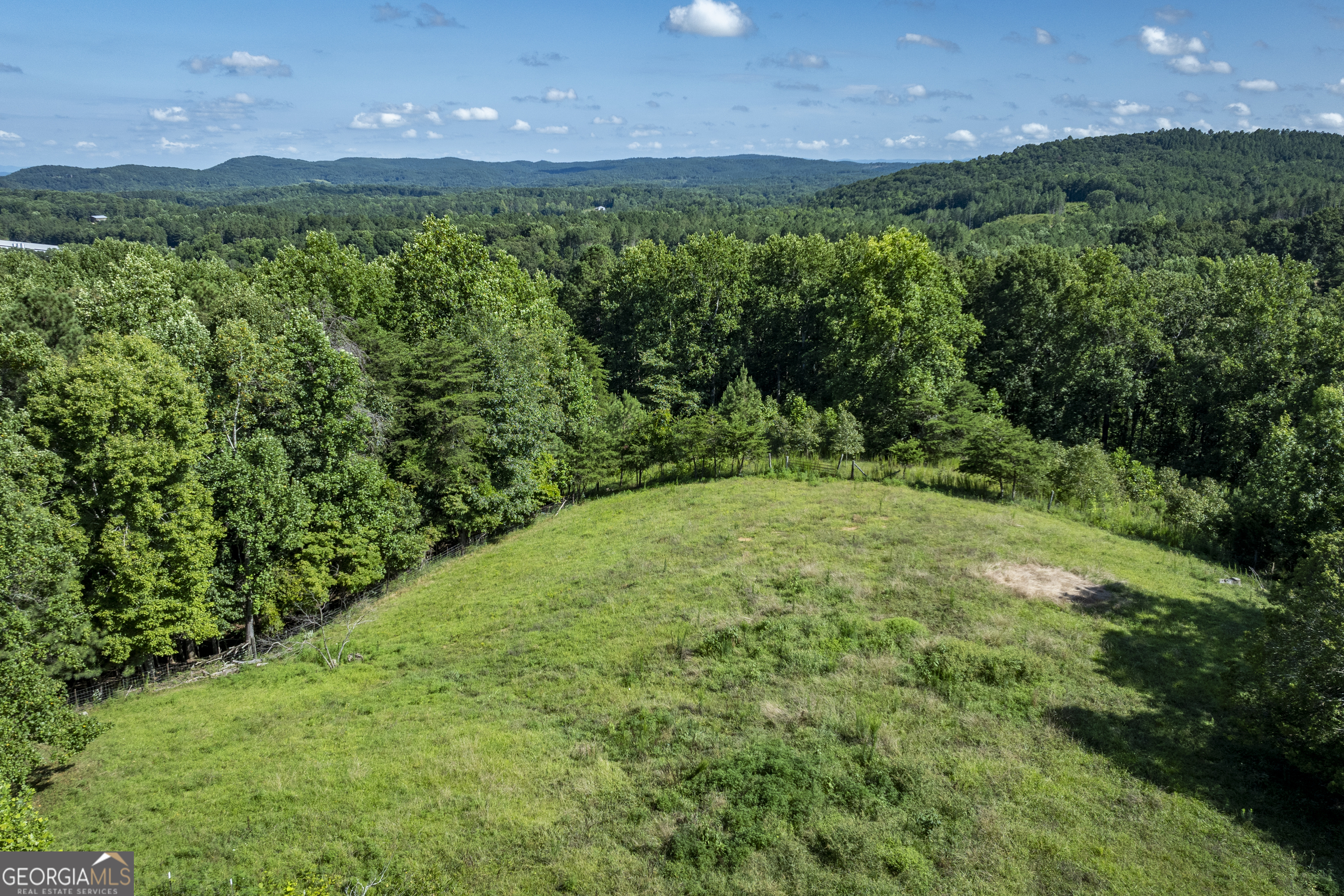 157 Edwards Road Fairmount, GA 30139 - Photo 72 of 72 a view of a green yard with lots of green space