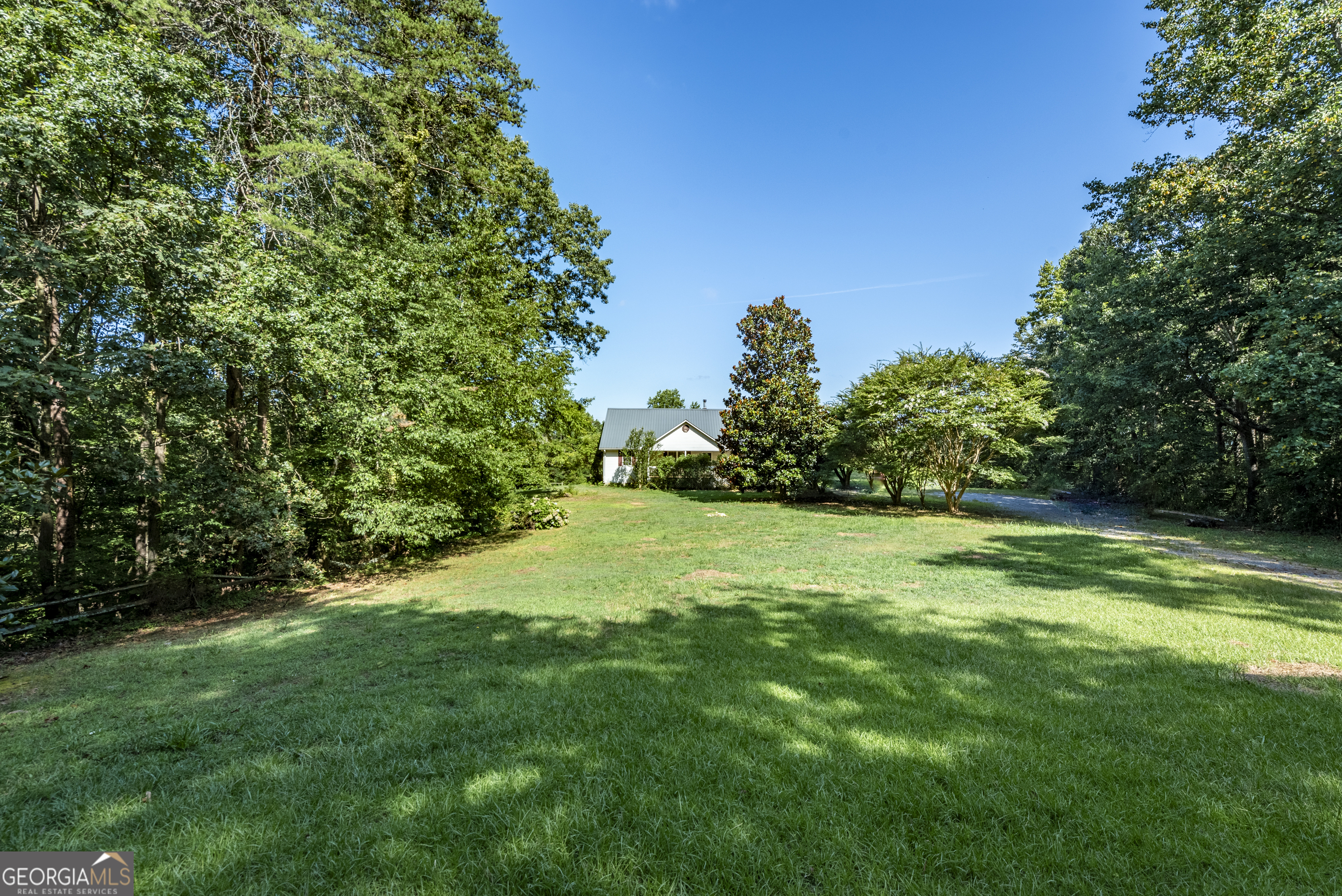 157 Edwards Road Fairmount, GA 30139 - Photo 9 of 72 a view of a trees with a yard
